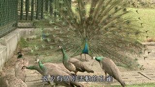 第7集