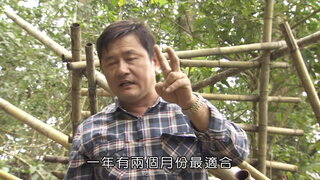 第8集