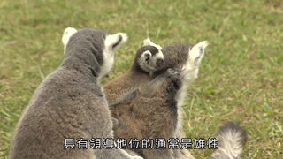 第9集