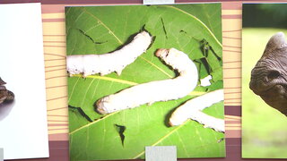 第37集
