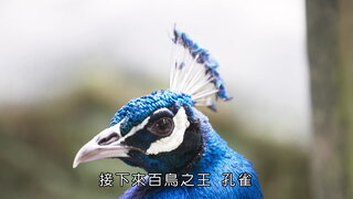 第1集