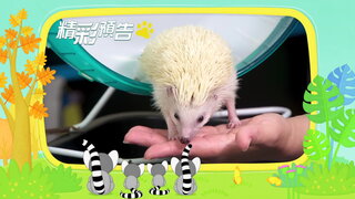 第10集