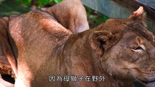 第11集