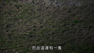 第13集