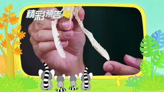 第14集