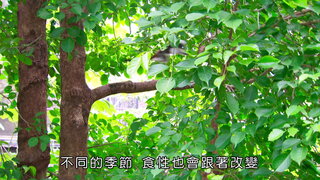 第16集