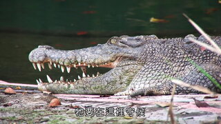 第18集