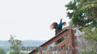 第2集