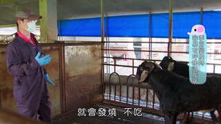第20集