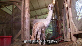 第21集