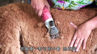 第22集