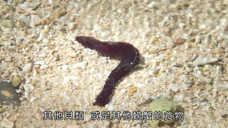 第24集