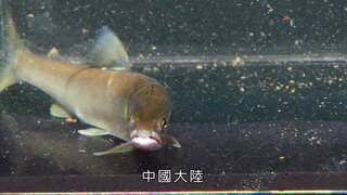 第25集