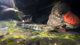 第26集