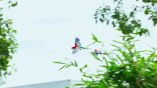 第4集