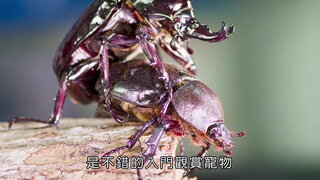第6集