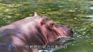 第7集