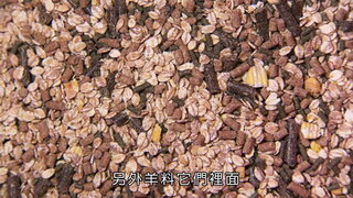 第9集