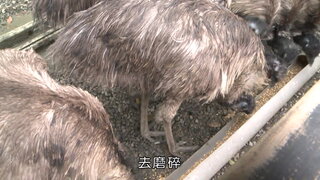 第1集