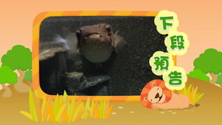 第11集