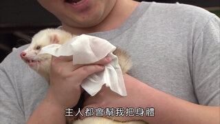 第12集