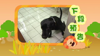 第13集