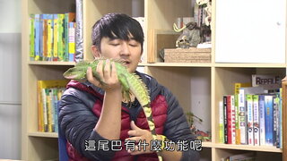 第2集