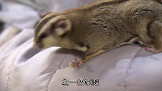 第3集