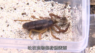 第4集