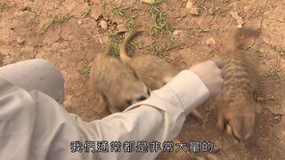 第5集