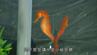 第6集