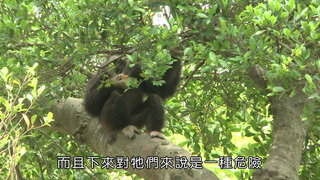 第7集