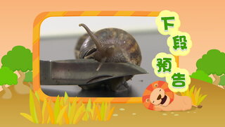 第1集
