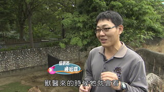 第10集