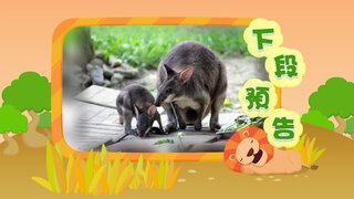 第11集