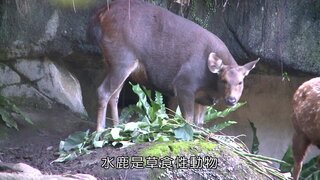 第12集