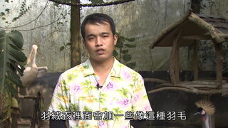第13集