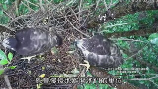 第4集