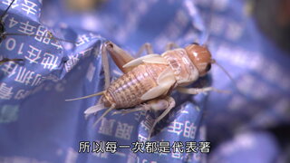 第5集
