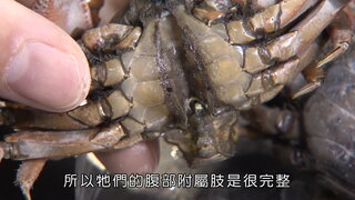 第6集