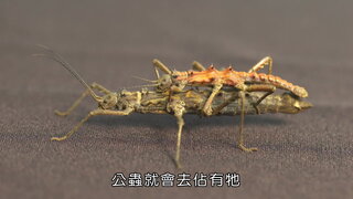 第7集