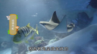 第8集