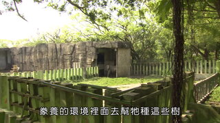 第10集