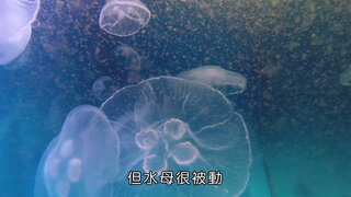 第11集