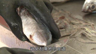 第3集