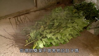 第4集