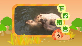 第5集