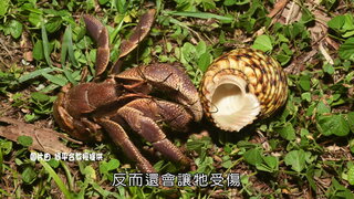 第6集