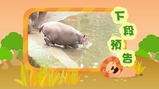 第9集