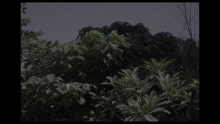 第1集